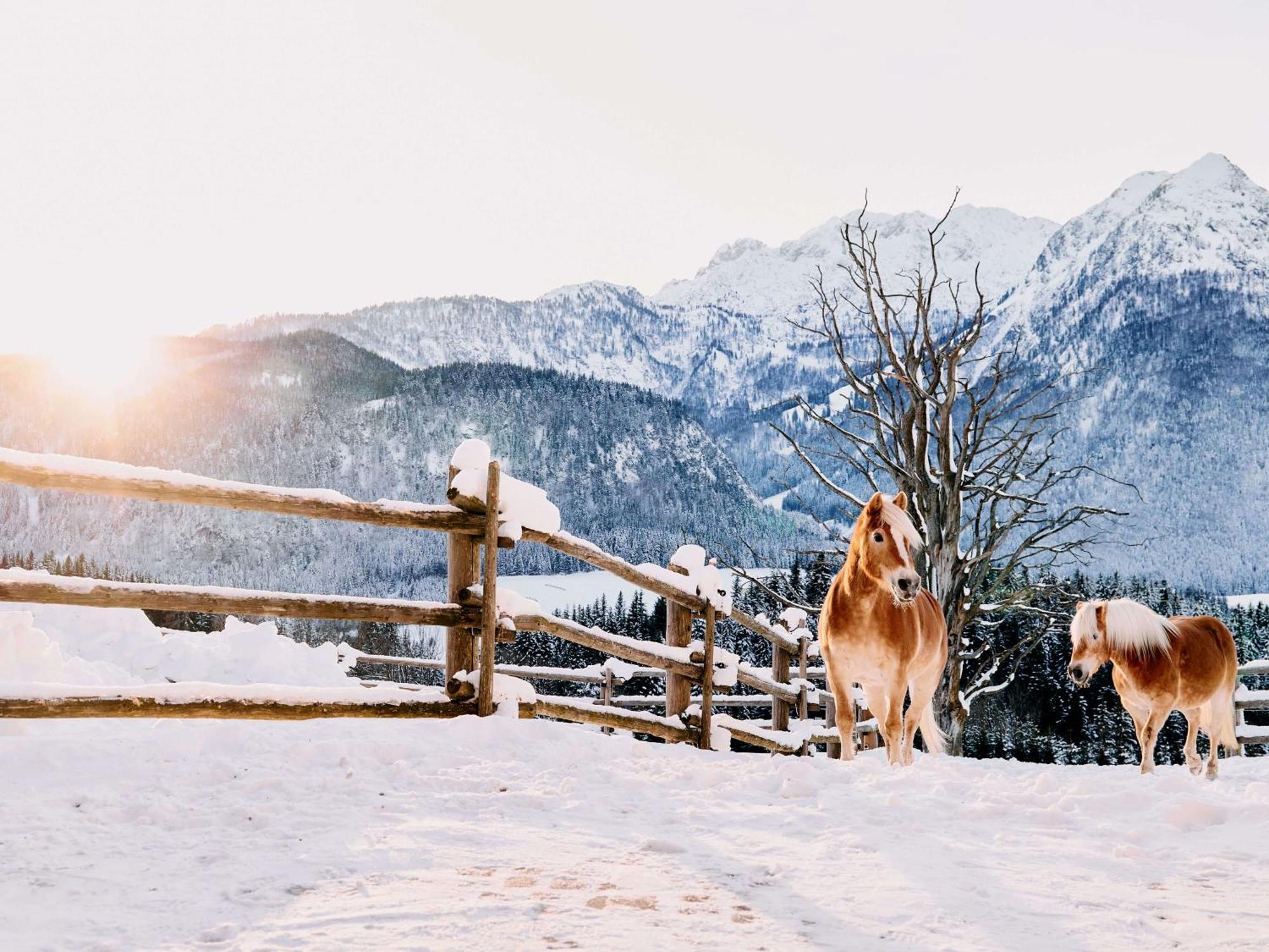 Hotel Winterstellgut Annaberg im Lammertal Zewnętrze zdjęcie